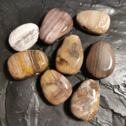 bois silicifié - pendentif percé - chakra bordeaux